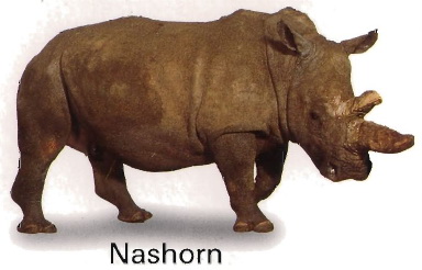 das Nashorn