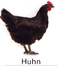 Huhn